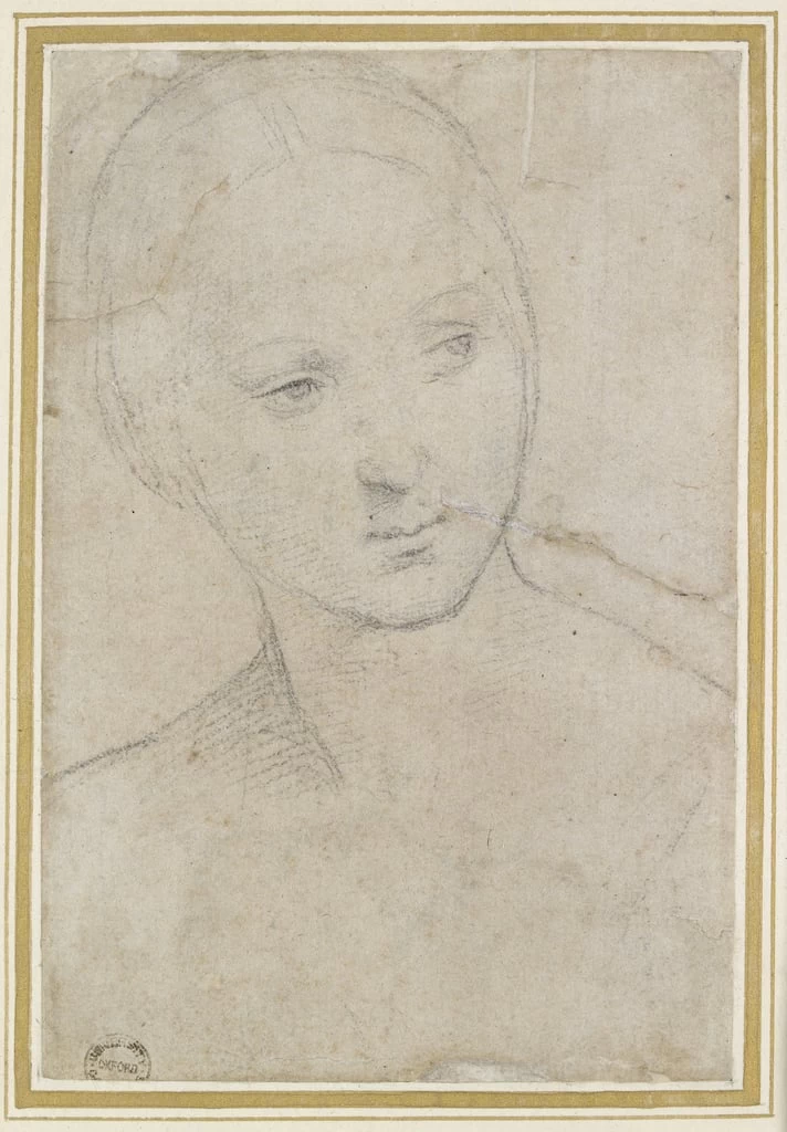 Sanzio - Studio della testa di una giovane donna, Ashmolean Museum, University of Oxford